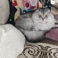 Марина 