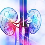 Dr. urolog