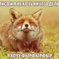 Ксения