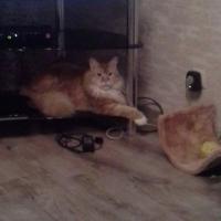 Алла