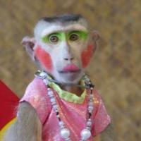 nenadoelomne