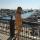 susanna.r208
