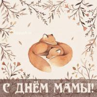 Альбина