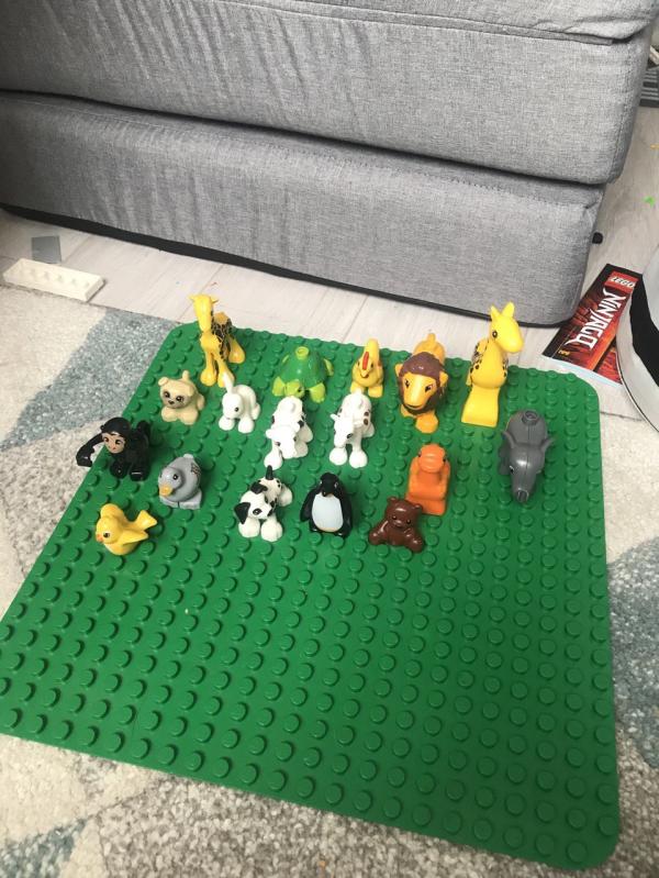 post image 3