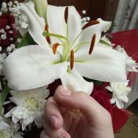 Анастасия 