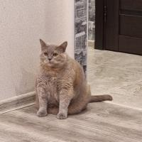 Катерина 