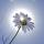 hope.ost