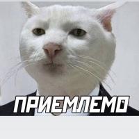 Амина