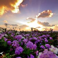 Татьяна
слизкоухая