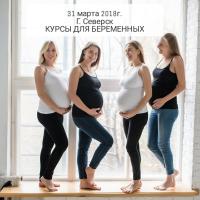 Mam-Ma-Class Курсы Для Беременных 