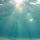 june_039