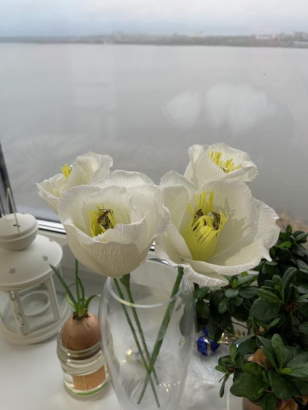 post image 4