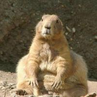 Марина