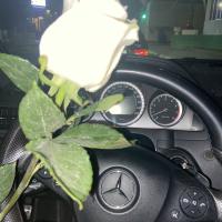 Хадя