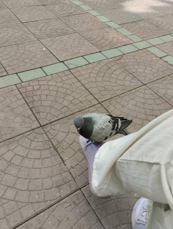 post image