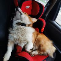 Катя