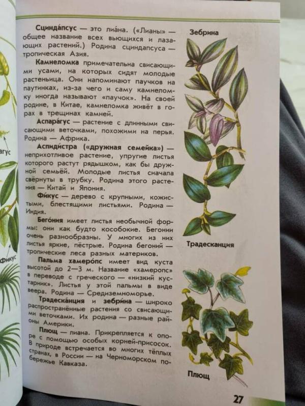 post image 4