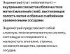 стикер