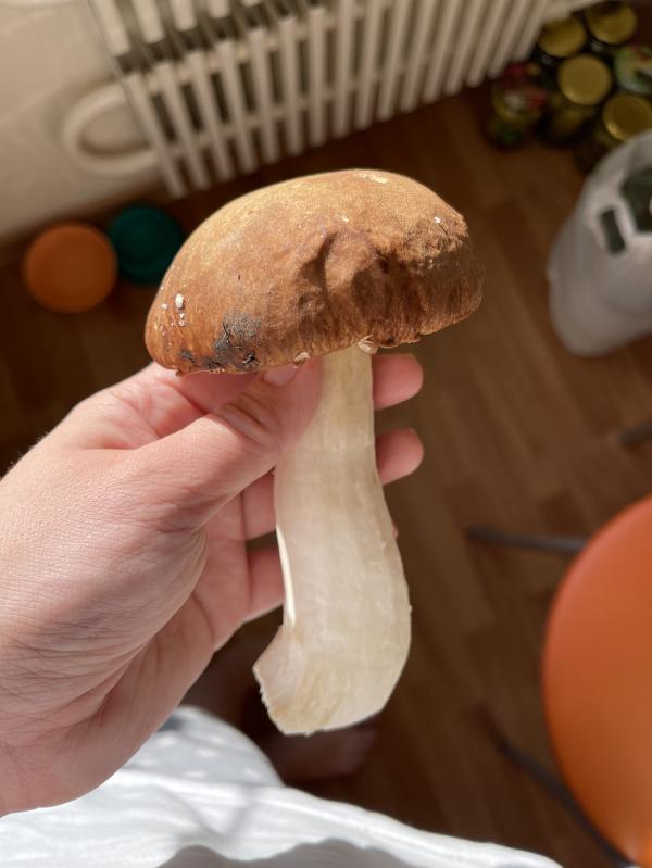 post image 4