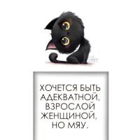 Фио