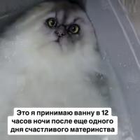 Маргарита