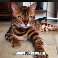Ксения Мальчикова