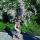 ali_frolova