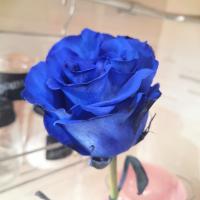 Валерия