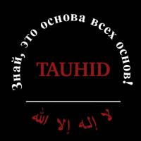 Umm Abu Bakr