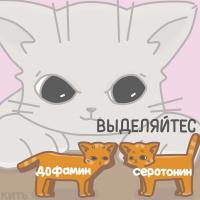 Аmrs🌼