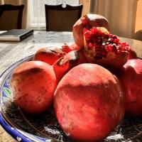 Диана (врач-гематолог/гемостазиолог)