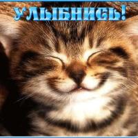 Диана 🤗