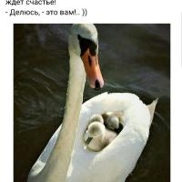 Жулдуз