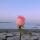 imaryam_09