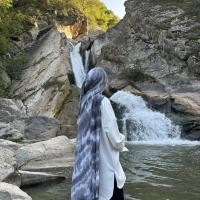 Irada