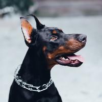 Катерина 