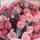 _marishka27