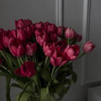 p101998@icloud.com
