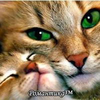 Ксюша