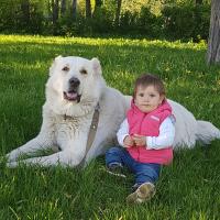 Светулик
