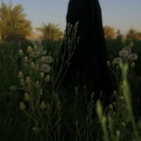 ام.