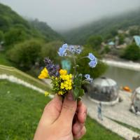 𝓝𝓪𝓻𝓶𝓲𝓷_𝓜𝓾𝓡𝓮𝓝 💙