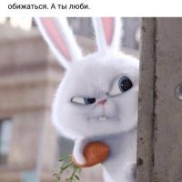 Дариночка