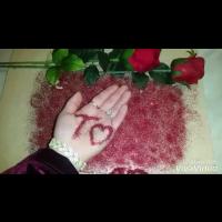 Xega