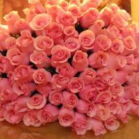 Yasmin_29
