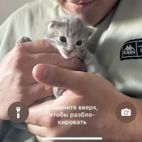 Леся