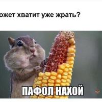 Юлия