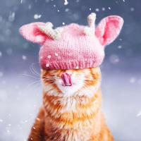 Катерина