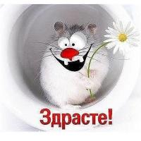 Дарья
