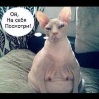 Даша